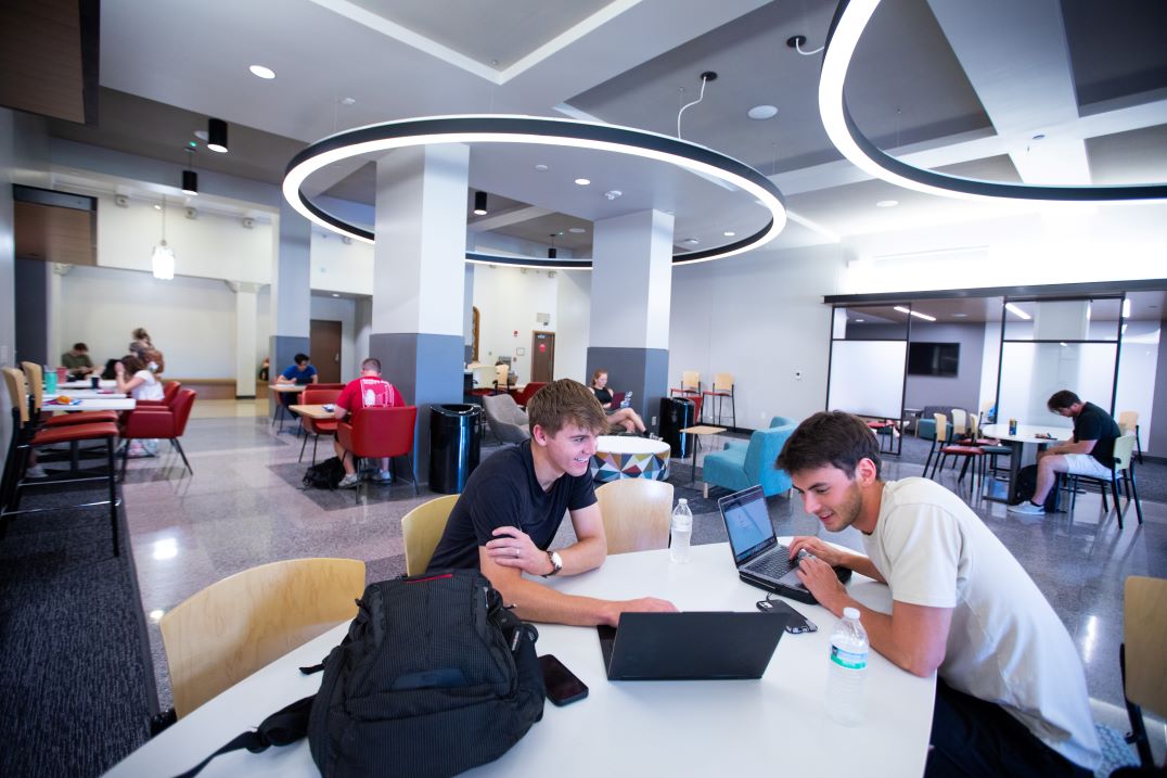 Students working on laptops in the second floor lounge.