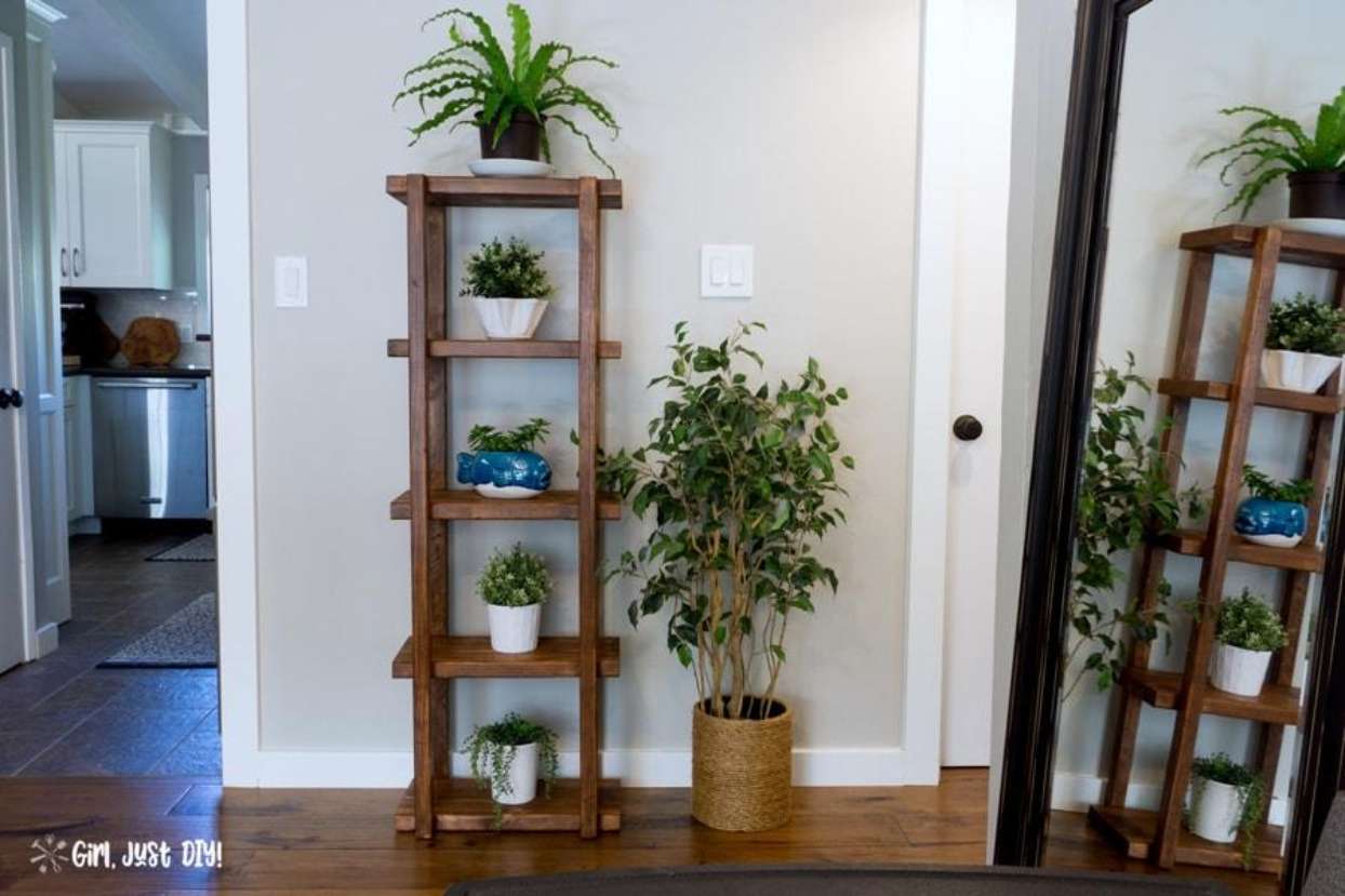 tall bookshelf with plants on it