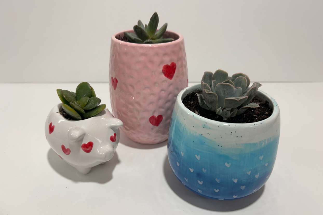 three painted pots with succulent in them from the Workspace Valentine's sale.